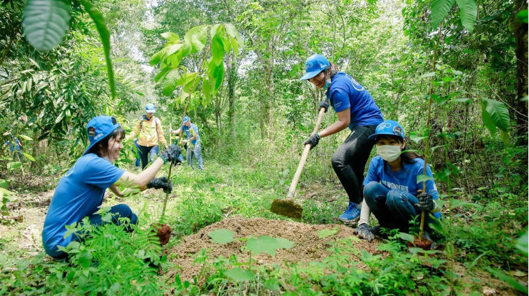 Dự án trồng cây phục hồi hệ sinh thái