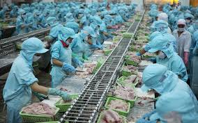 Giấy phép môi trường Nhà máy chế biến thủy sản đông lạnh