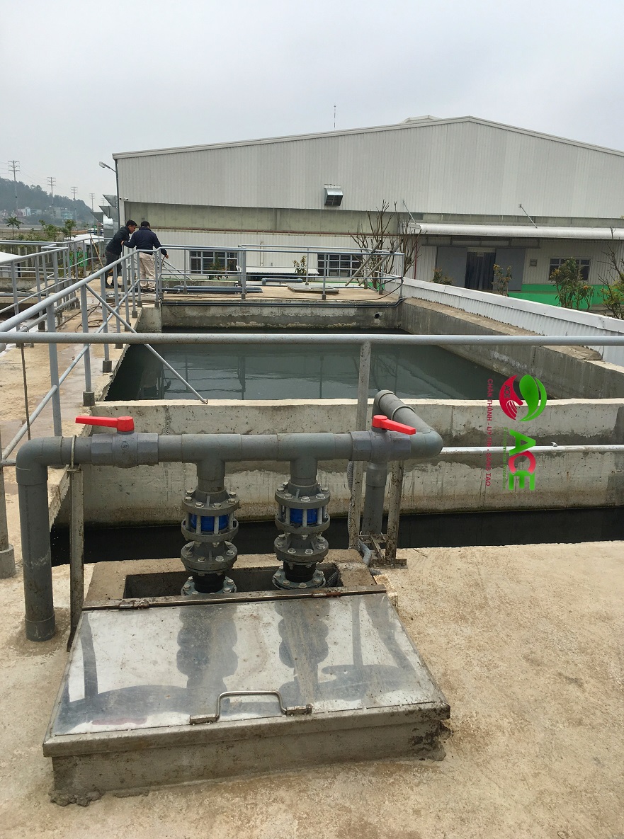  Quy định xả thải sinh hoạt
