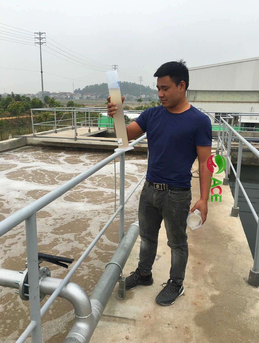  Quy định xả thải sinh hoạt