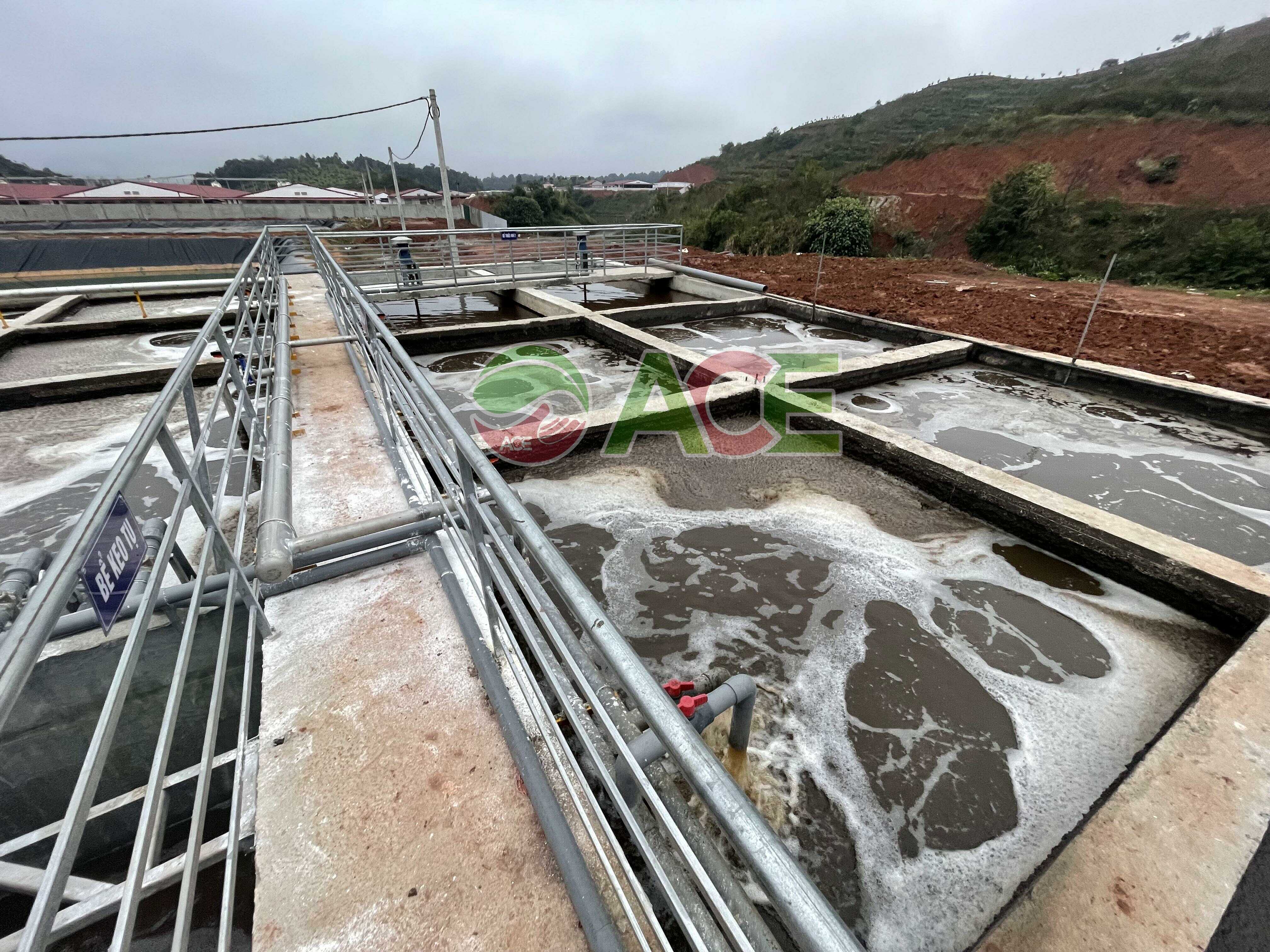 Xử lý nước thải chăng nuôi công suất 300 M3/Ngày