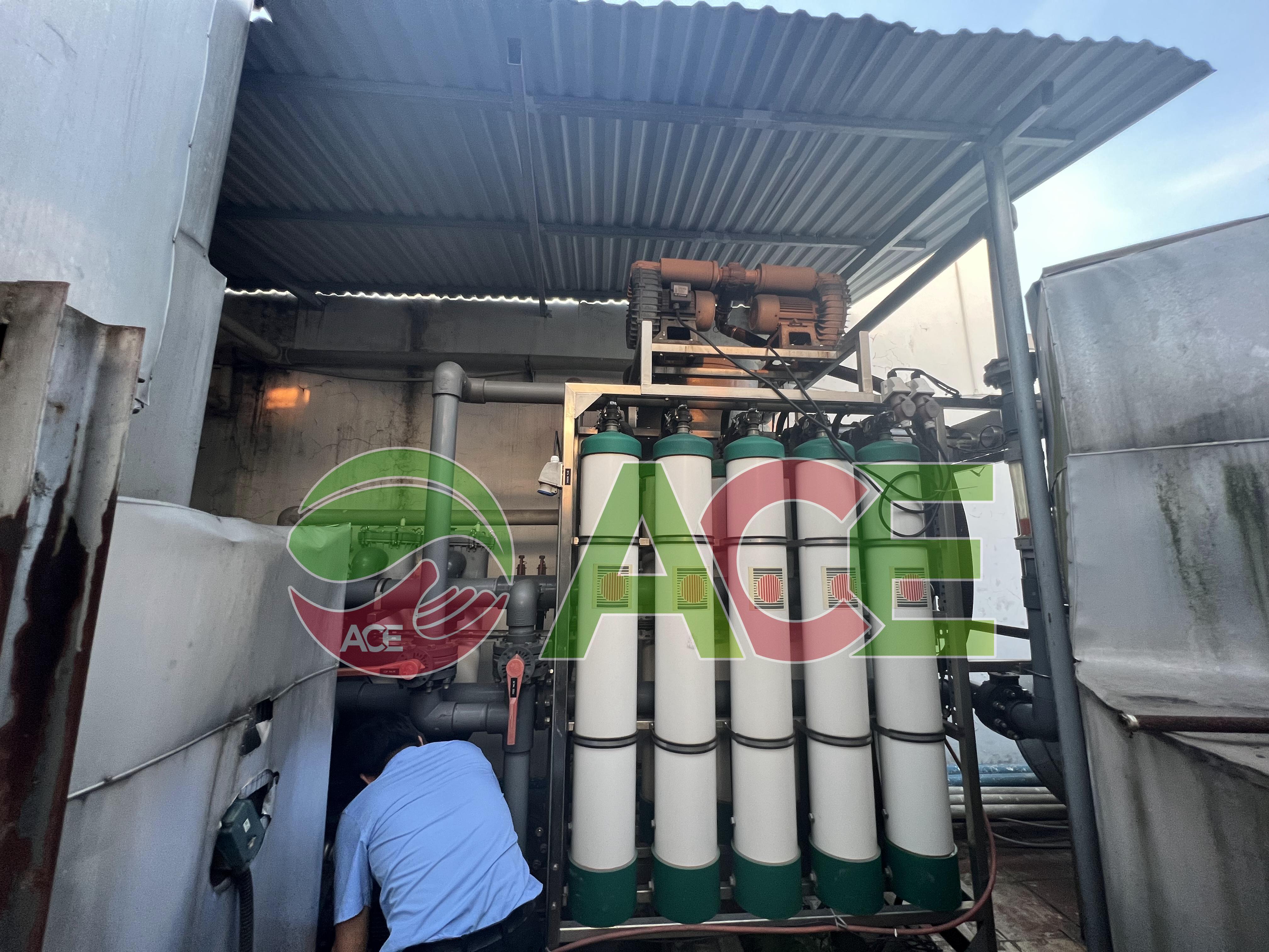 Hành trình Net Zero: 